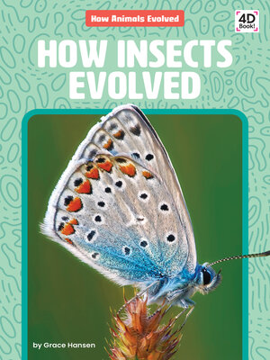 cover image of How Insects Evolved